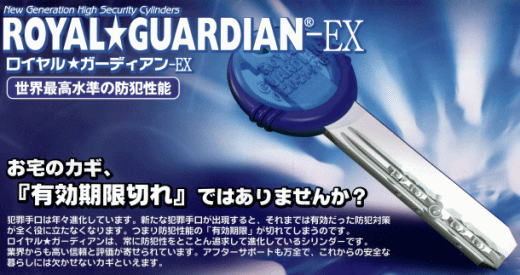 ���C�������K�[�f�B�A��EX